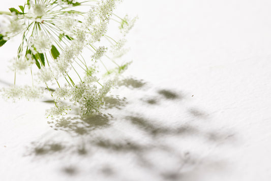 年末年始休業のお知らせ