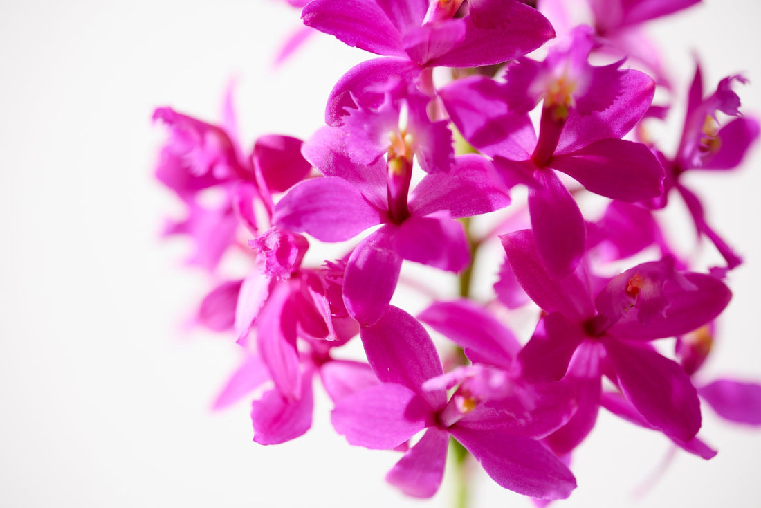 年末年始の配送について