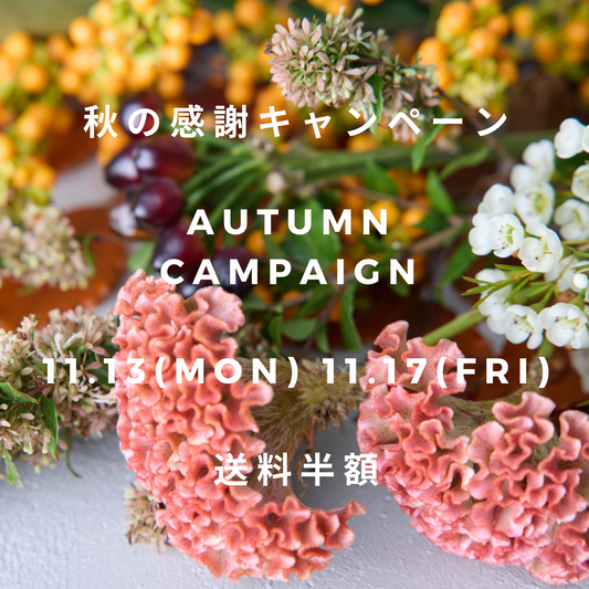 秋の感謝キャンペーン(送料半額)のお知らせ